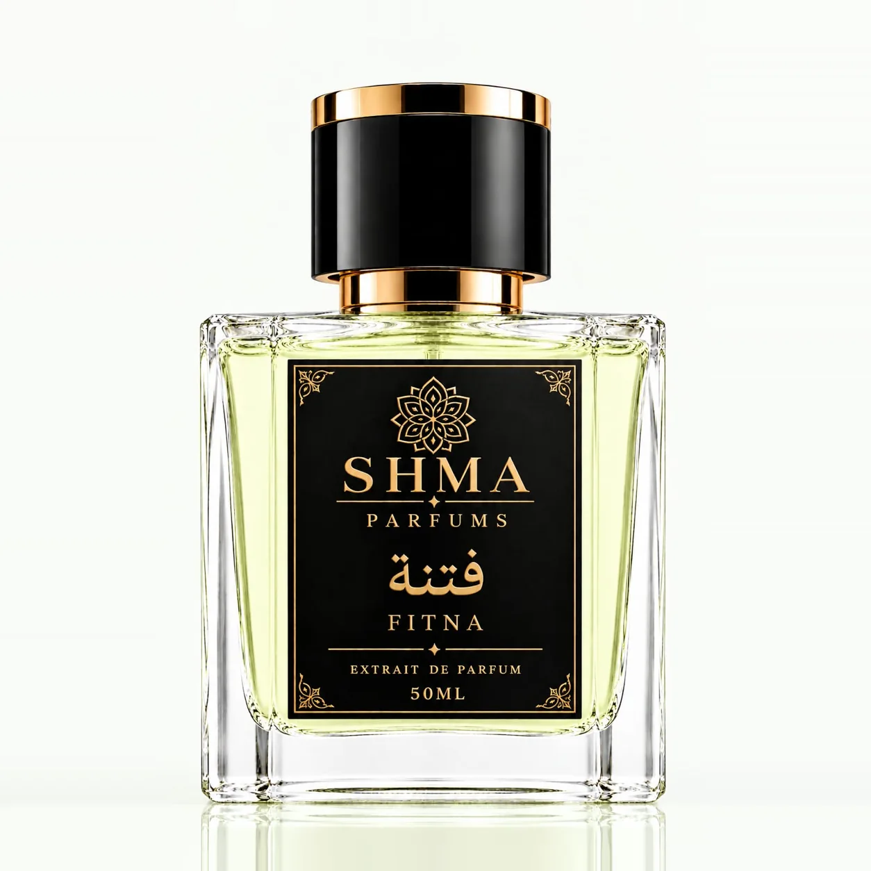 FITNA — فتنة
