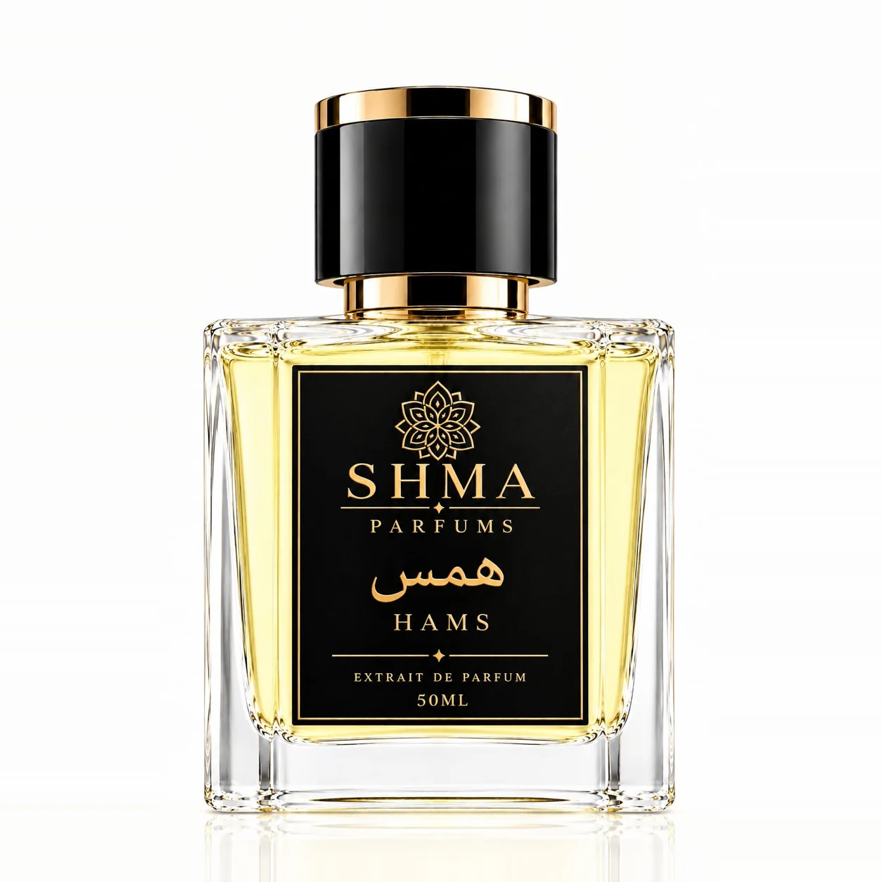 HAMS — همس